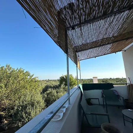 Casa Amuni فيلة