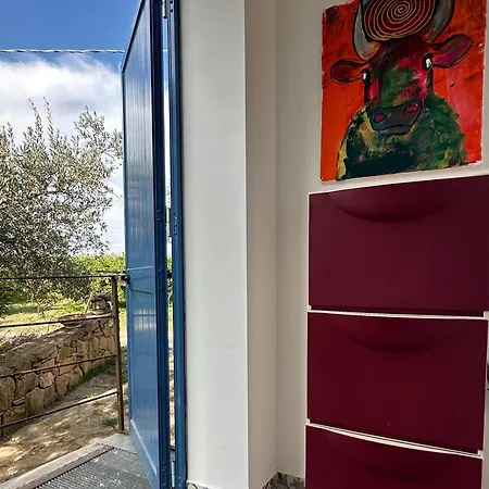 Casa Amuni Vila *