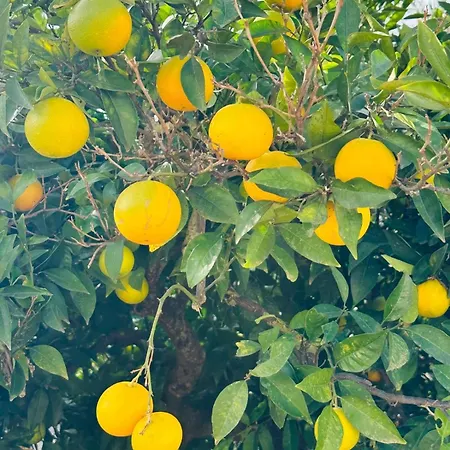 Casa Amuni * Sciacca