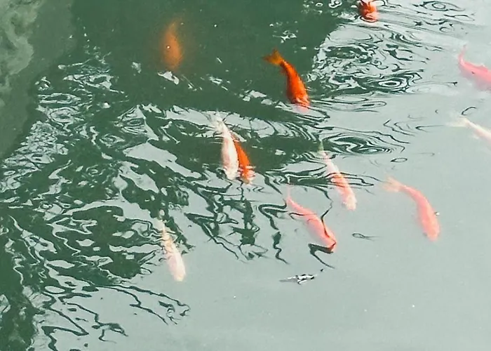 Casa Amuni Willa Sciacca