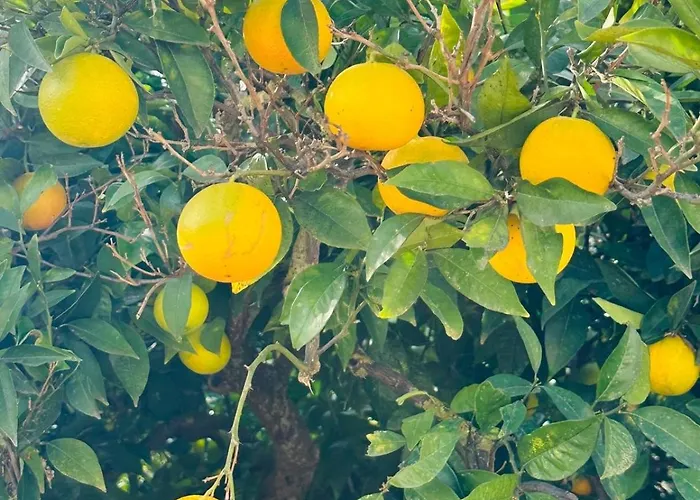 Casa Amuni * Sciacca