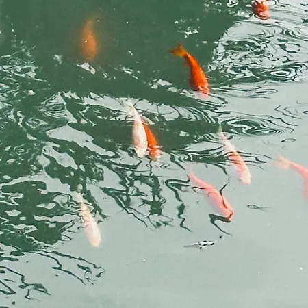 Casa Amuni Villa Sciacca